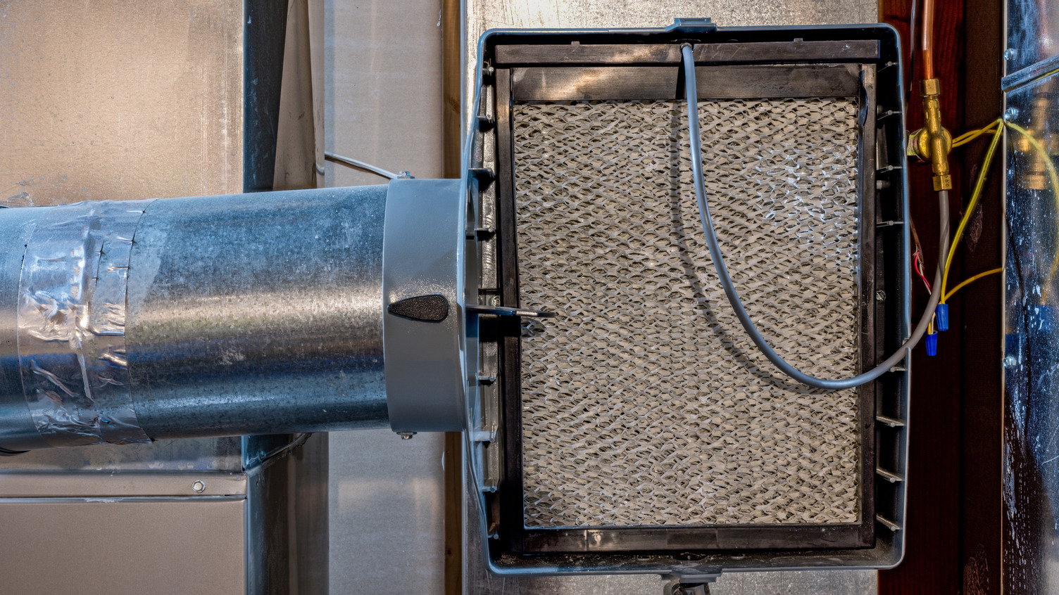 Why Should I Buy a Humidifier? RW Supply + Design